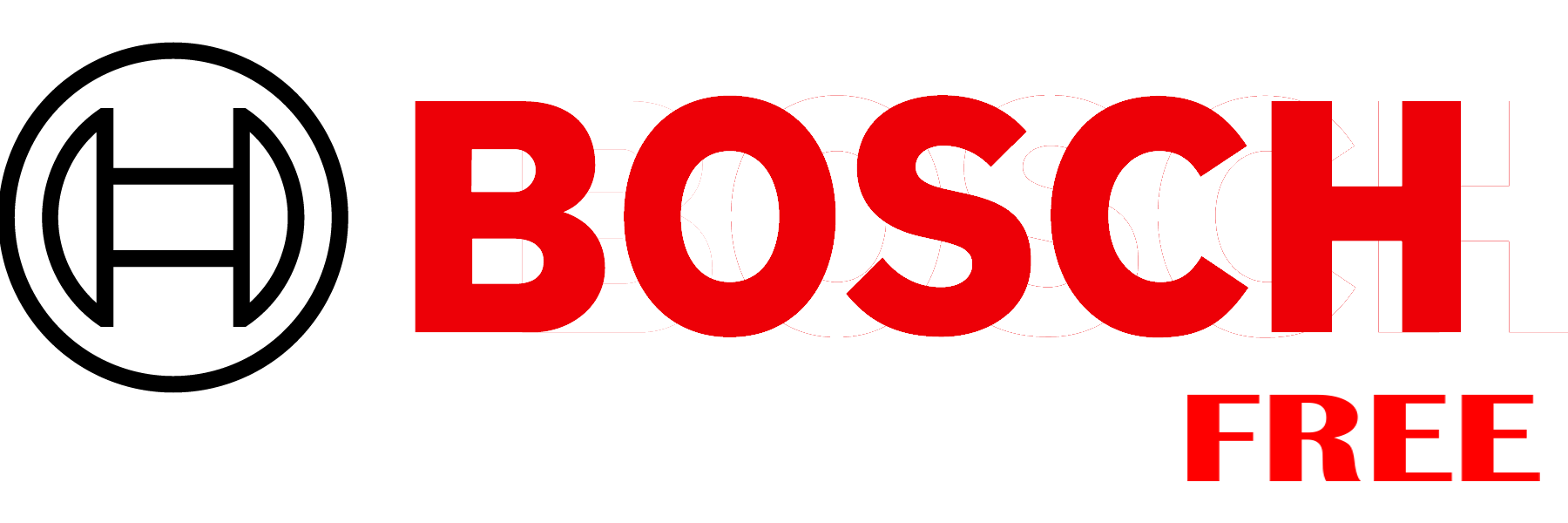BOSCHFS